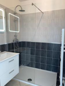 a bathroom with a shower and a sink at Le charme de la Touraine in Fondettes