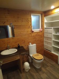 La salle de bains est pourvue de toilettes et d'un lavabo. dans l'établissement Bienvenu à la campagne, à La Roche-sur-Yon