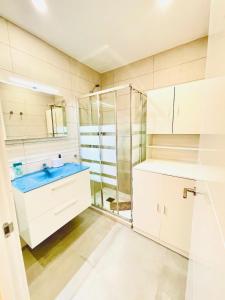a bathroom with a sink and a shower at MADRID CENTRO II in Madrid