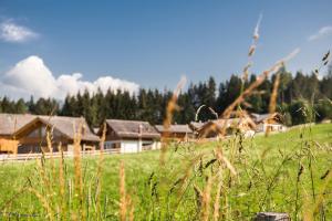 een veld van hoog gras met huizen op de achtergrond bij Lerchpeuntgut Alpenfreud Apartments in Tamsweg