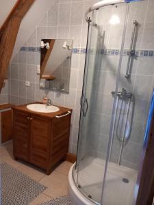 y baño con ducha y lavamanos. en B AND B Chambres d'Hôtes Les Falaises, en Saint-Léonard