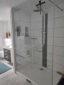 a shower with a glass door in a bathroom at Ferienwohnung am Rittergut in Grebenstein