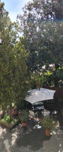Zahrada ubytování B&B LaMaGia di Corte Moronati