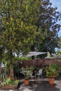 Zahrada ubytování B&B LaMaGia di Corte Moronati