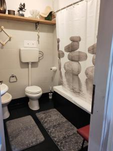a bathroom with a toilet and a shower curtain at B&B LaMaGia di Corte Moronati in Sirmione