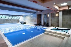 una grande piscina in una grande stanza di Hotel Royal Botanic a Lublino