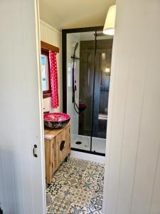 ein Badezimmer mit einer Dusche, einem Waschbecken und einer Badewanne in der Unterkunft pipowagen met prive Hot tub in Lanaken