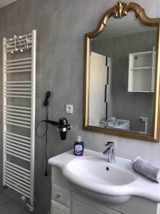 a bathroom with a sink and a mirror at Appartement des 3 pays. 2 mn de Bâle+ Free parking in Saint-Louis