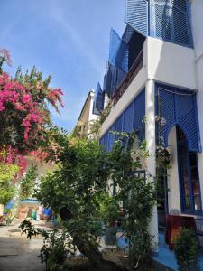 a blue and white building with a tree in front of it at chez youssef in Fès