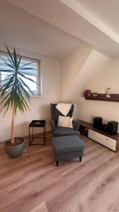 ein Wohnzimmer mit einem Stuhl und einer Palme in der Unterkunft Ferienwohnungen Hexenstieg & Wurmbergblick in Schierke