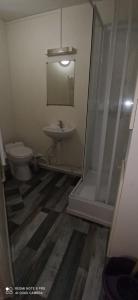 Un baño con ducha, inodoro y lavabo. en studio1 Bagnères de Bigorre, en Bagnères-de-Bigorre