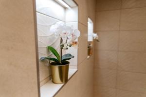 eine Topfpflanze auf einem Regal in einem Badezimmer in der Unterkunft MiniLux - Prater22 in Budapest