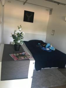 a bed in a room with a plant on it at Forsthaus am See Lychen in Lychen