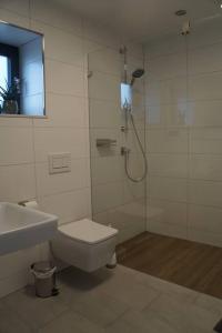 uma casa de banho com um chuveiro, um WC e um lavatório. em Ferienwohnung Abt Kleber em Bad Schussenried