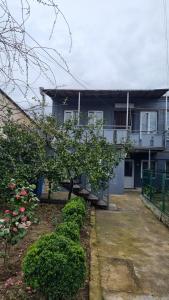 a house with a tree in front of it at Latvji in Kutaisi