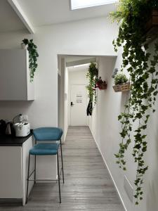 a hallway with a blue chair and some plants at DEA DREAMS Marghera 43 in Milan