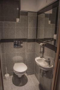 A bathroom at Łódzki Pałacyk - Pokoje hostelowe