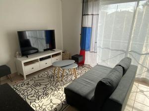TV a/nebo společenská místnost v ubytování Beau Duplex T3 vue panoramique Luberon