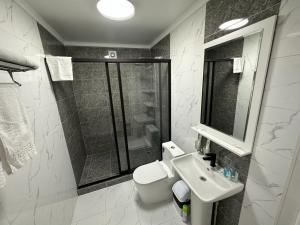 a bathroom with a toilet and a sink and a shower at Вояж in Taraz
