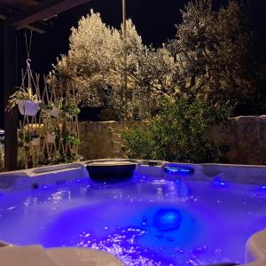 una bañera de hidromasaje azul en un jardín por la noche en Villa Rita en Orebić