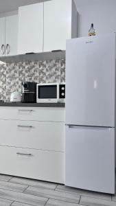 Kuchyň nebo kuchyňský kout v ubytování Summer Vibe - Apartament la curte