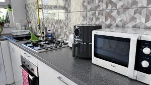 Kuchyň nebo kuchyňský kout v ubytování Summer Vibe - Apartament la curte