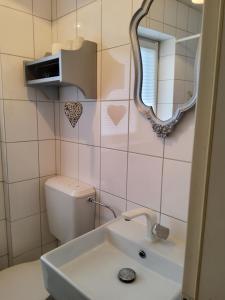 a bathroom with a sink and a mirror and a toilet at Studio-Apartment mit kleinem Gartenanteil in Burg auf Fehmarn