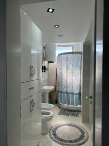 a bathroom with a toilet and a shower in it at Temali Apartment in Shkodër