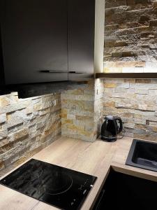 Kuchyň nebo kuchyňský kout v ubytování Apartmány Vlachovice