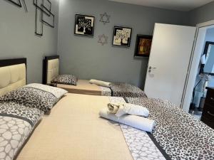 two beds in a room with towels on them at Temali Apartment in Shkodër