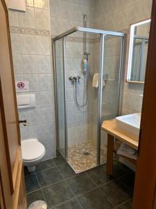 a bathroom with a shower with a toilet and a sink at Hotel am Spreebogen in Burg