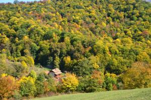 an autumn view of a forest with a house on a hill at Ecokayan Dilijan Resort Hotel in Dilijan