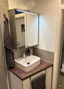a bathroom with a sink and a mirror at LIVE-IN Tiny Studiowohnung in Wertheim
