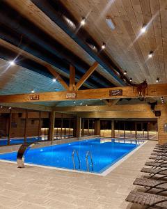 a large swimming pool in a building with a horse on a beam at Maggie's Ranch in Râşnov