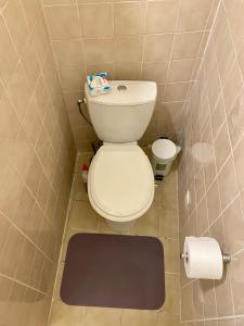 een kleine badkamer met een toilet en een tapijt bij Maison Mǔso in Dinant