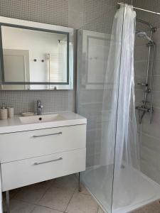 方蒂提斯的住宿－La campagne à 5 minutes de Tours.，白色的浴室设有水槽和淋浴。