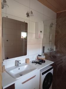 un bagno con lavandino e specchio di Agroturystyka Przy Siole Budy a Białowieża