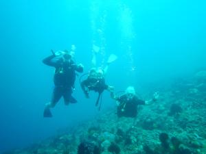 three people are scuba diving in the ocean at Lombok Villas, Villa PaoPao in Labuhanpoh