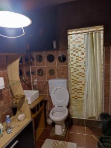 a bathroom with a toilet and a shower at Etno selo naša avlija in Blace