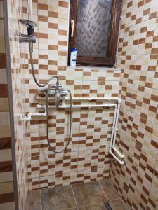 a shower in a bathroom with a tiled wall at Etno selo naša avlija in Blace