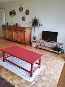 Televisyen dan/atau pusat hiburan di Appartement Barbieux - Roubaix - 15min de Lille