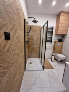 a shower in a bathroom with a wooden wall at APARTAMENT JEDLINKA B in Jedlina-Zdrój