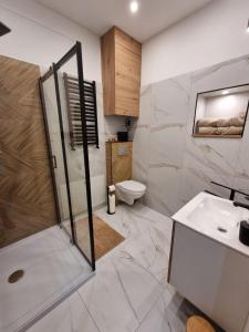 uma casa de banho com um chuveiro, um lavatório e um WC. em APARTAMENT JEDLINKA B em Jedlina-Zdrój