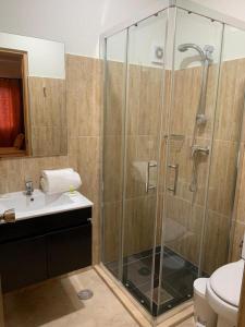 a bathroom with a shower with a sink and a toilet at Damfjord Boutique Hotel in Santa Maria