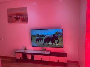 einen TV an einer Wand mit einer rosa Wand in der Unterkunft Appartement Casa-marina au 10ème étage in Casablanca