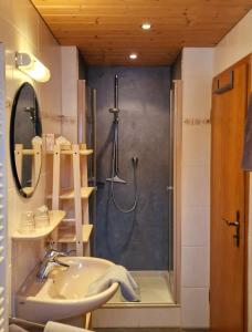 ein Bad mit einer Dusche und einem Waschbecken in der Unterkunft Haus Luise in Bad Hindelang