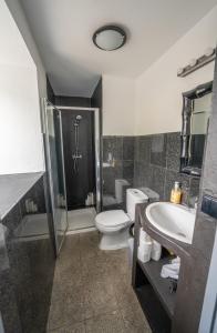 um banheiro com vaso sanitário, pia e chuveiro em Casa Atlantida - Sea front em Faja Grande mais 38 fotografias