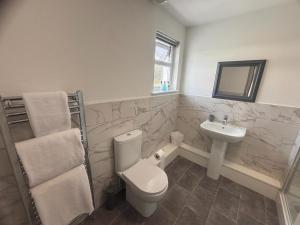 La salle de bains est pourvue de toilettes et d'un lavabo. dans l'établissement The Cartologist, à Durham