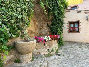 Κήπος έξω από το La Casetta nel Cortile