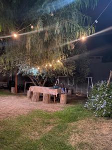 a picnic table under a tree at night at Néctar in Tinogasta